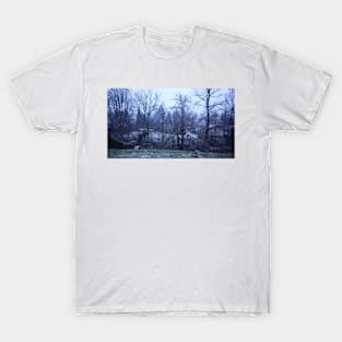 December Rain. Grand Lancy, Switzerland T-Shirt